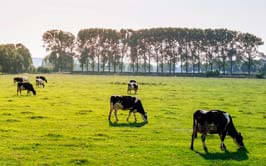 Agriculture Test Lab In Michigan