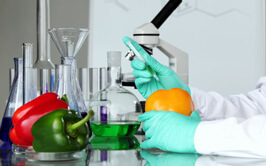 Food Testing Lab In Michigan