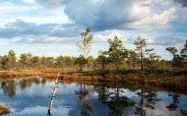 Water Testing In Michigan
