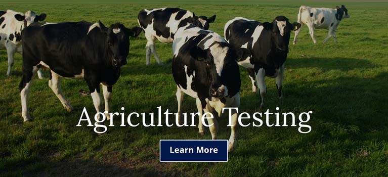 Michigan Microbiology Lab